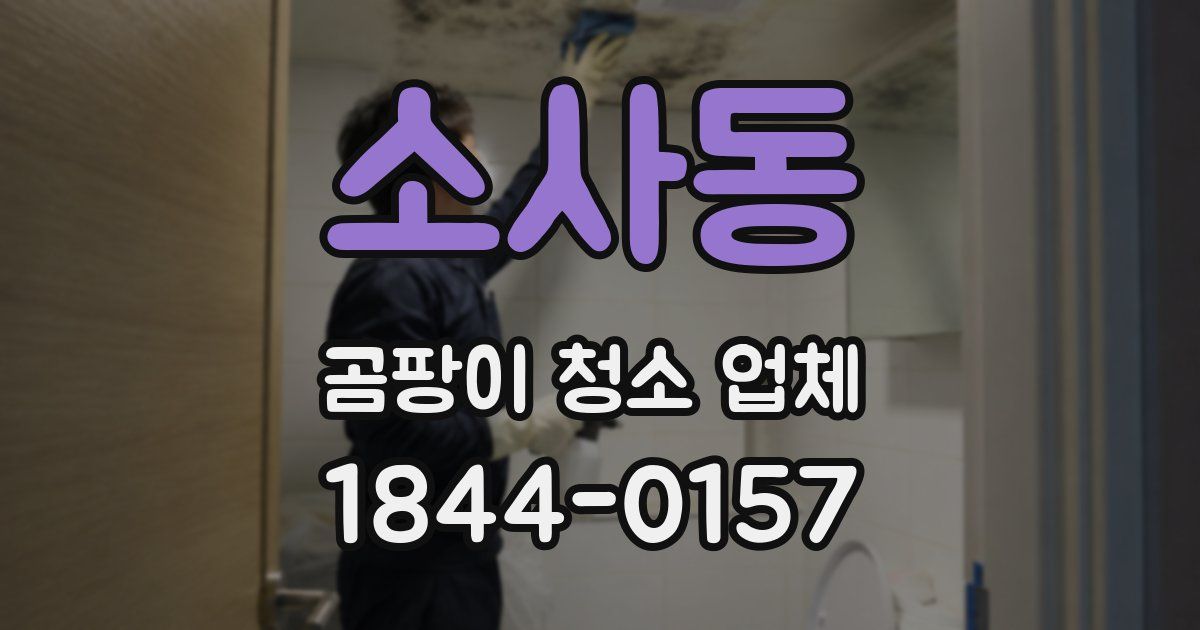 소사동 곰팡이 청소 업체