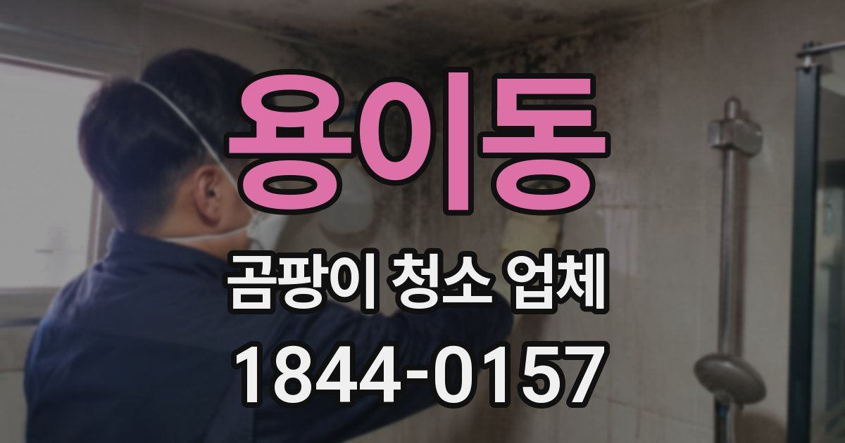 용이동 곰팡이 청소 업체