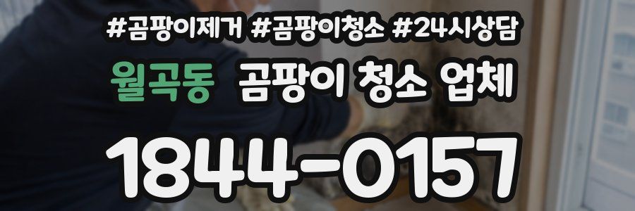 월곡동 곰팡이 청소 업체