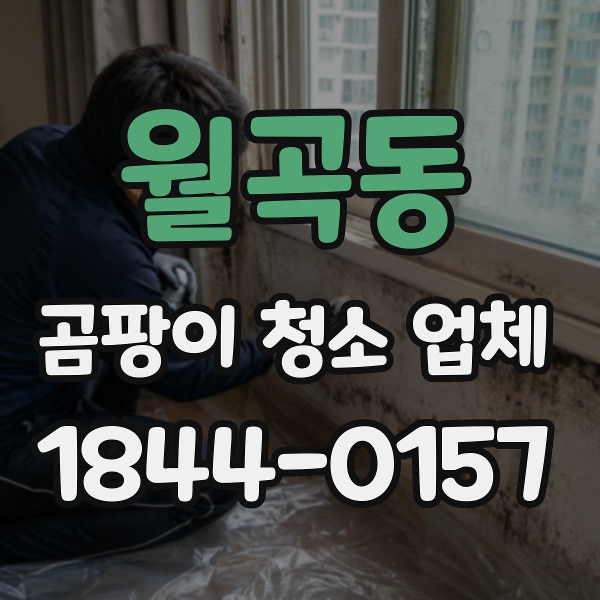 월곡동 곰팡이 청소 업체