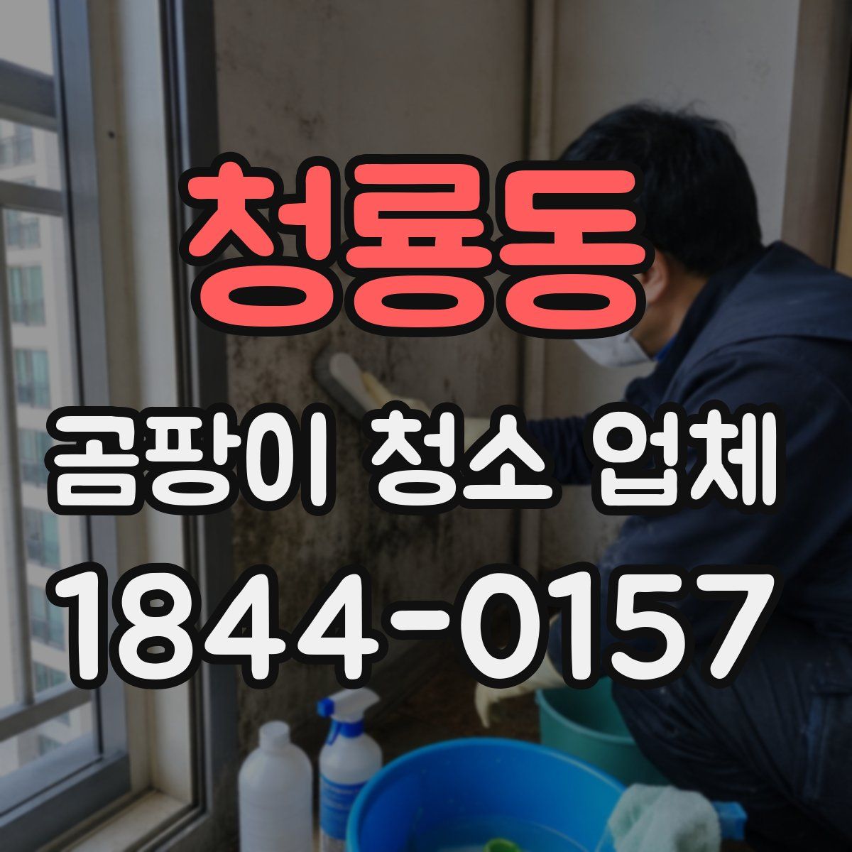 청룡동 곰팡이 청소 업체