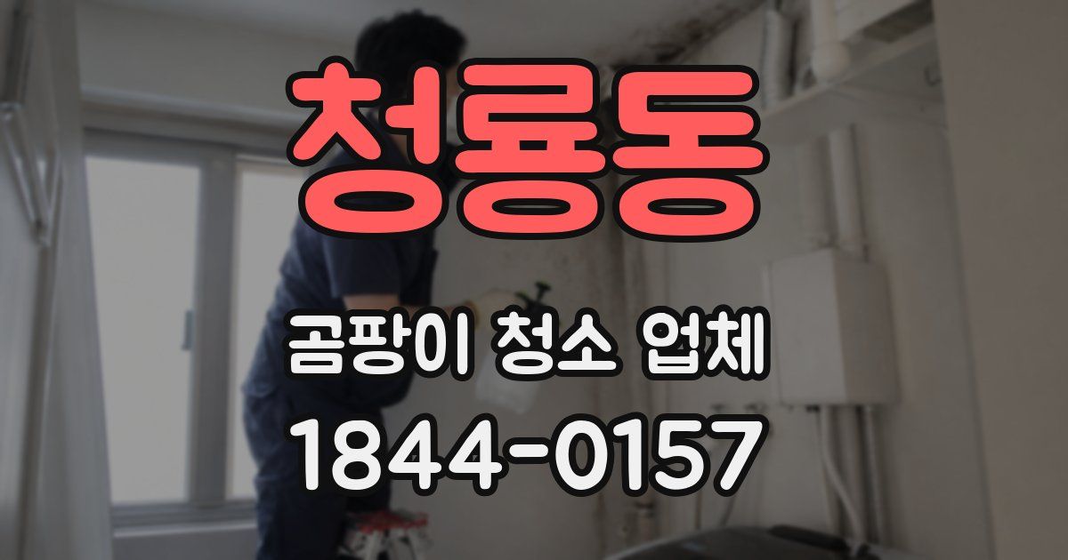 청룡동 곰팡이 청소 업체