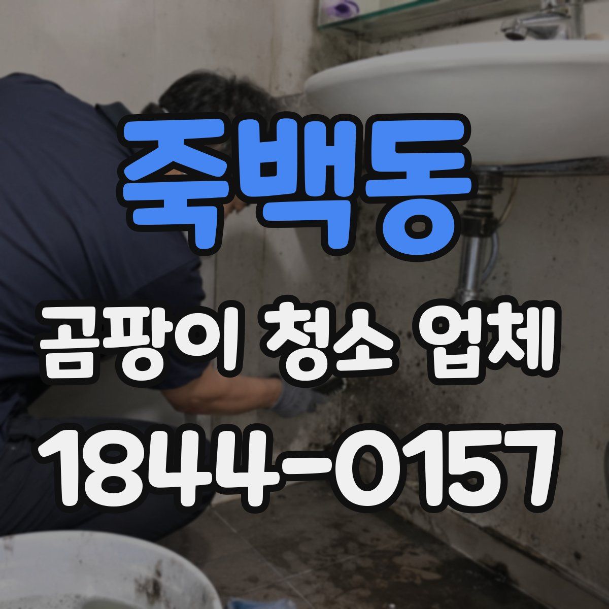 죽백동 곰팡이 청소 업체