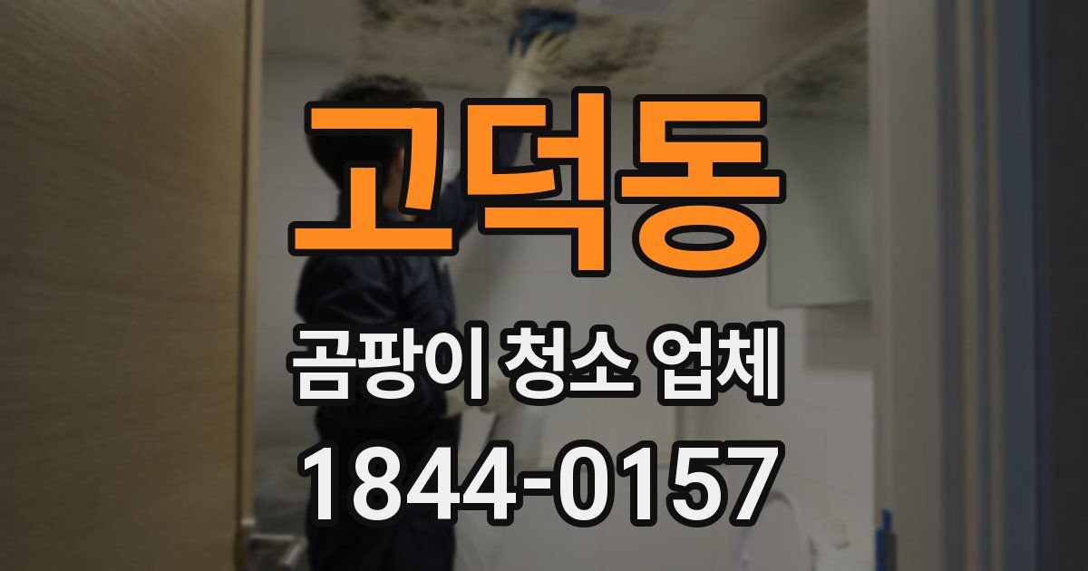 고덕동 곰팡이 청소 업체