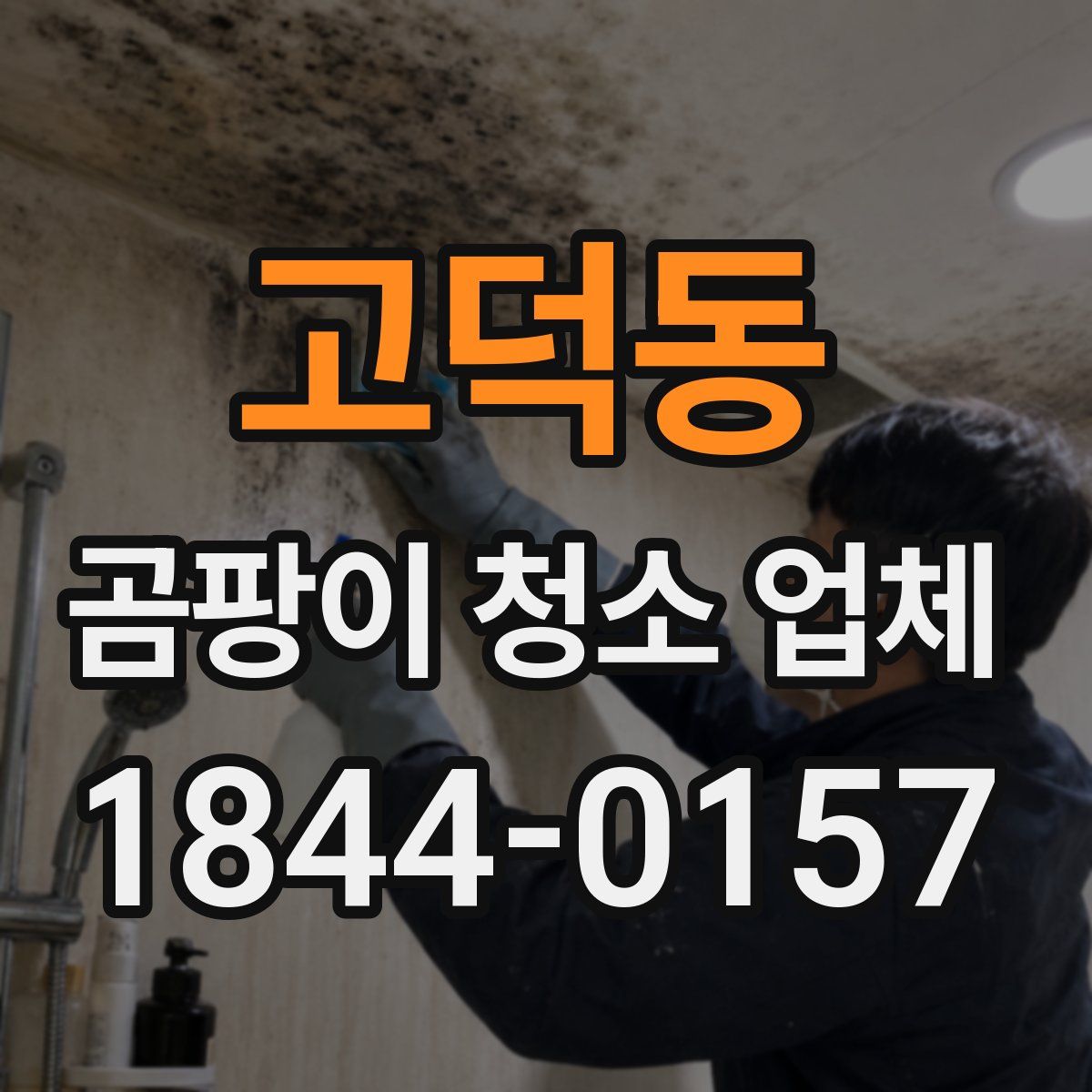 고덕동 곰팡이 청소 업체