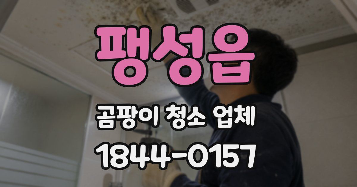 팽성읍 곰팡이 청소 업체
