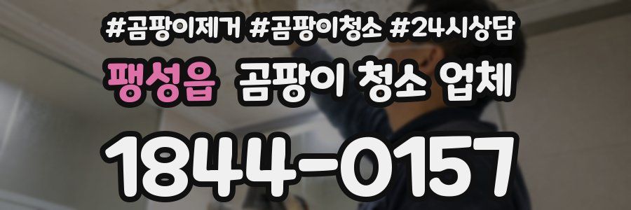 팽성읍 곰팡이 청소 업체