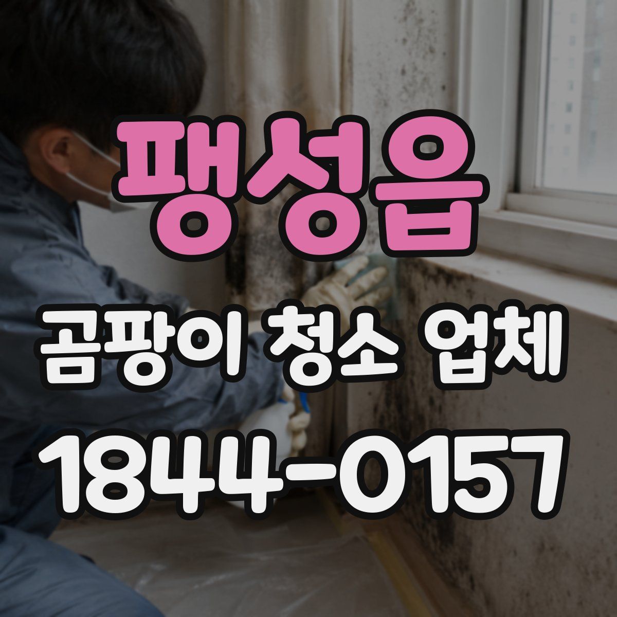 팽성읍 곰팡이 청소 업체