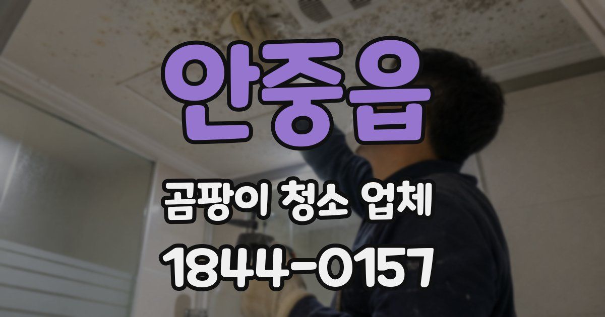 안중읍 곰팡이 청소 업체