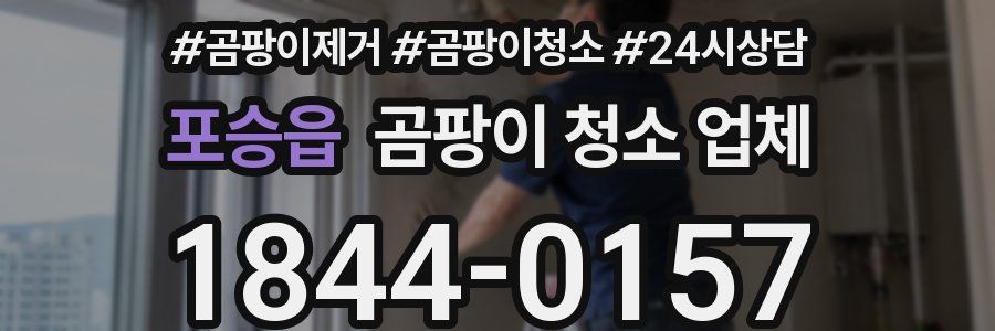 포승읍 곰팡이 청소 업체