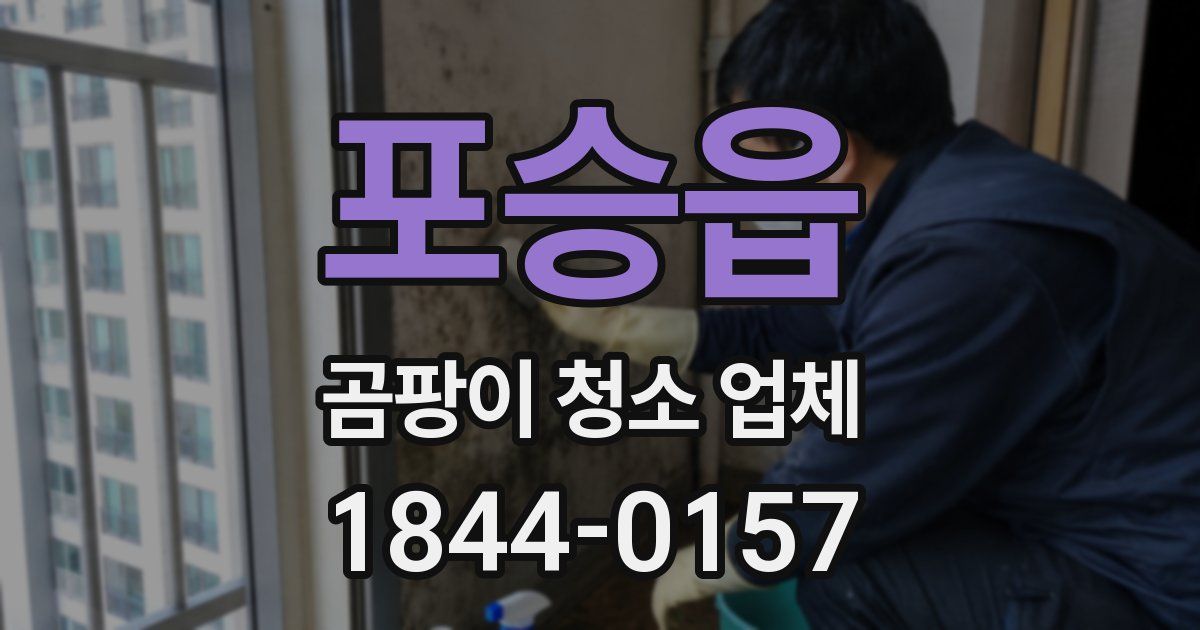 포승읍 곰팡이 청소 업체