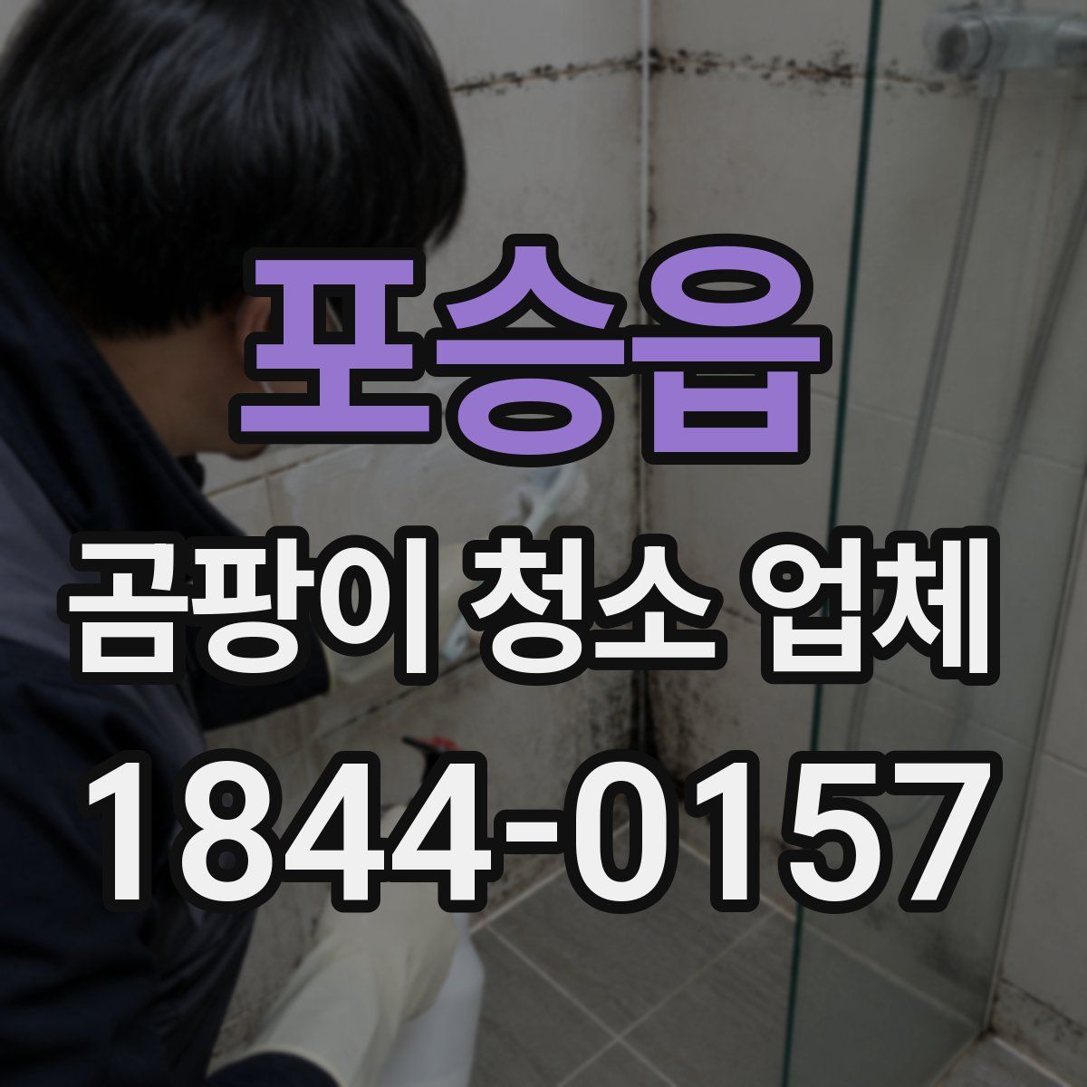 포승읍 곰팡이 청소 업체