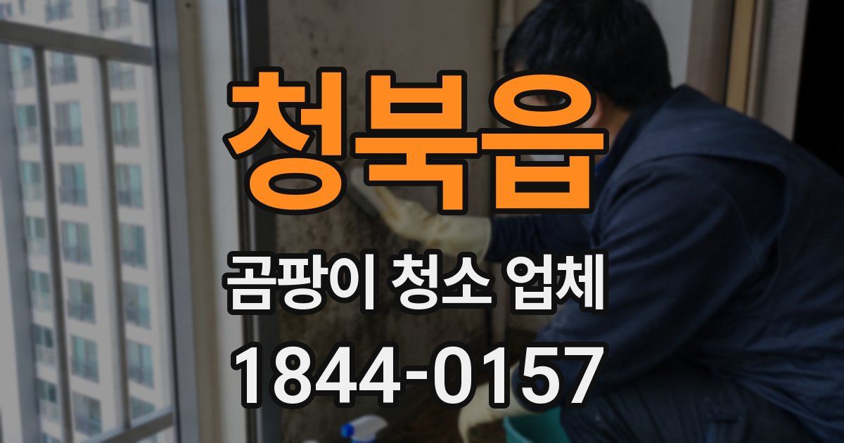 청북읍 곰팡이 청소 업체