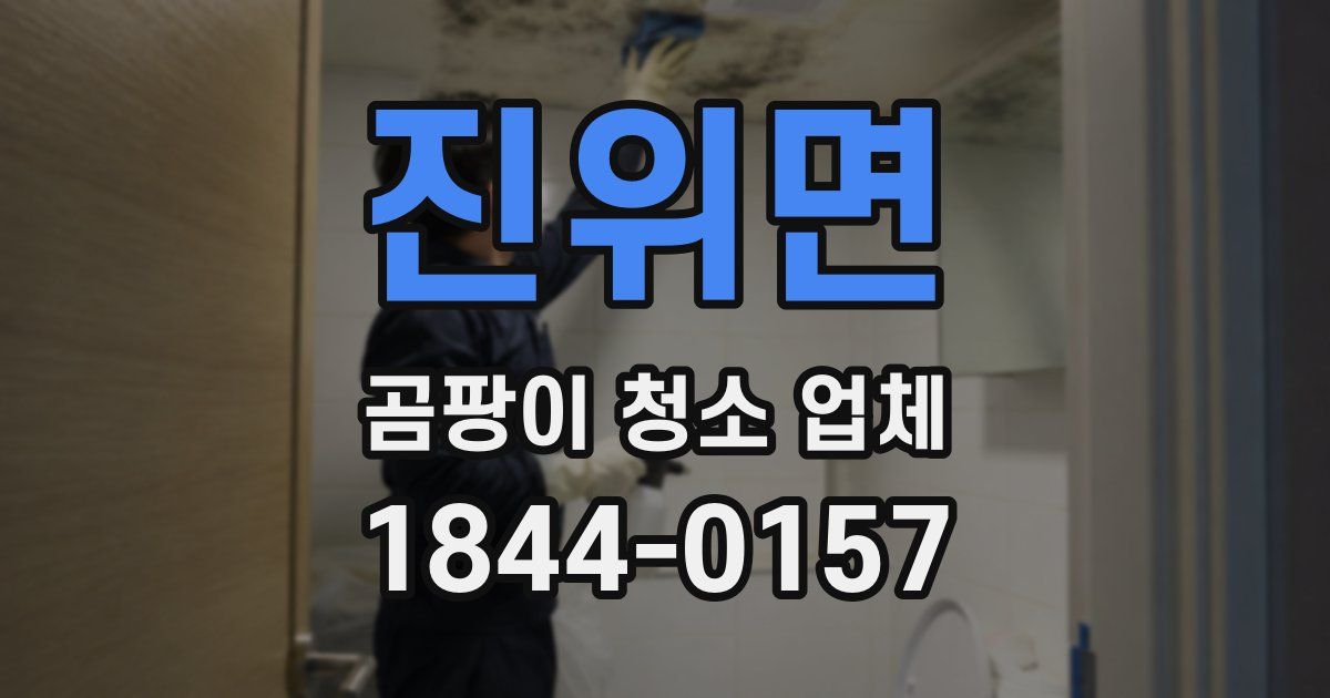 진위면 곰팡이 청소 업체