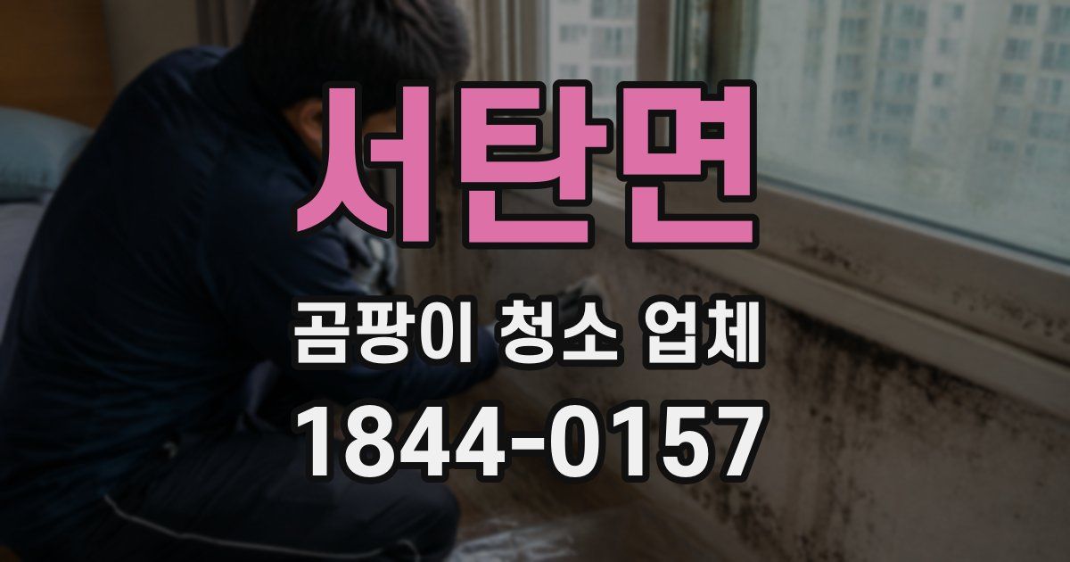 서탄면 곰팡이 청소 업체