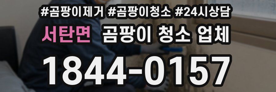 서탄면 곰팡이 청소 업체