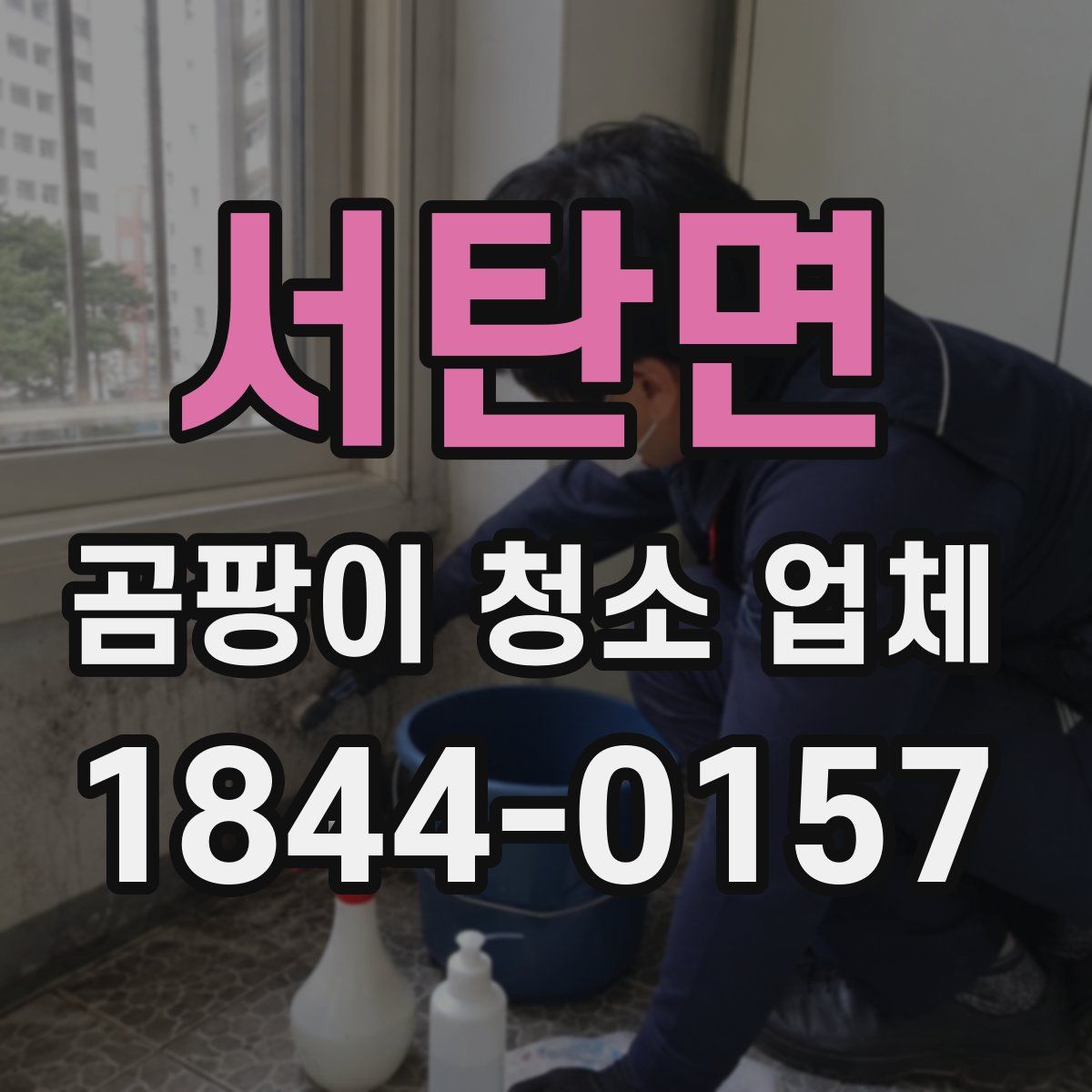 서탄면 곰팡이 청소 업체