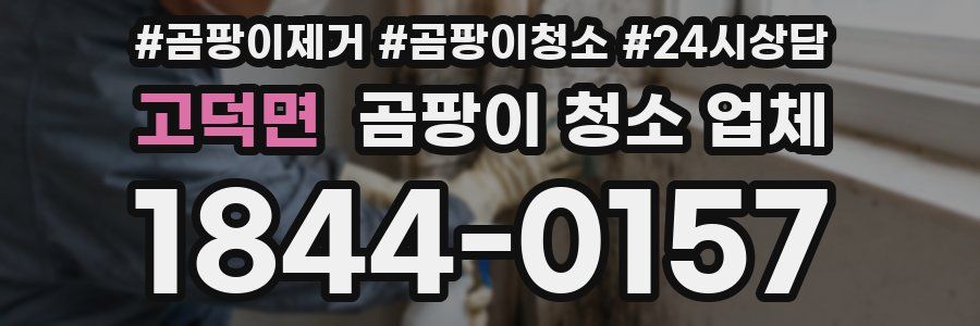 고덕면 곰팡이 청소 업체