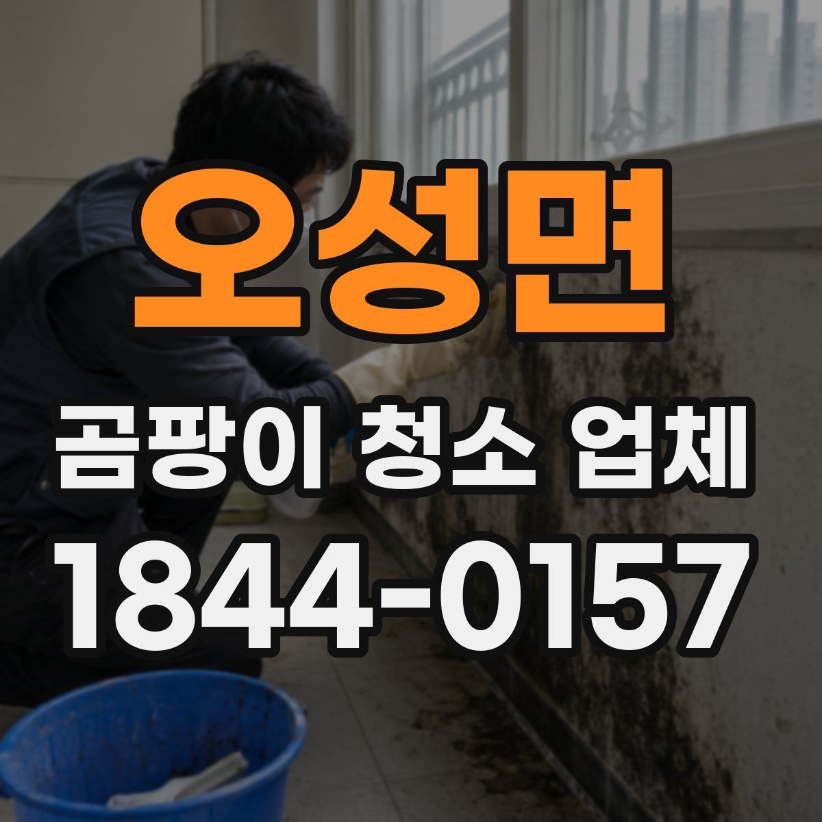 오성면 곰팡이 청소 업체