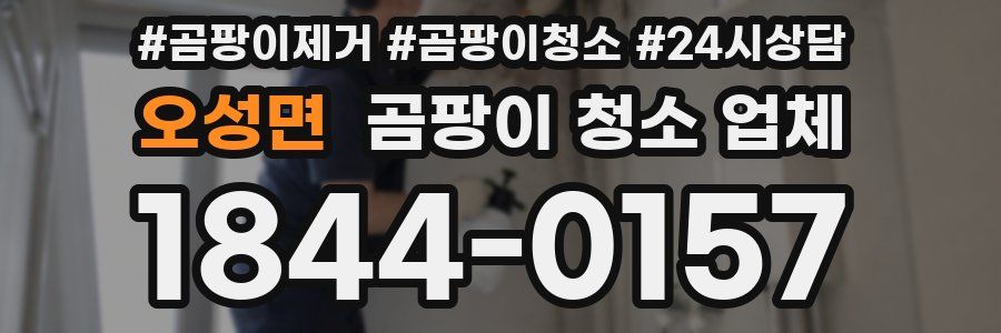 오성면 곰팡이 청소 업체