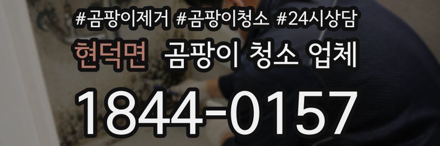 현덕면 곰팡이 청소 업체