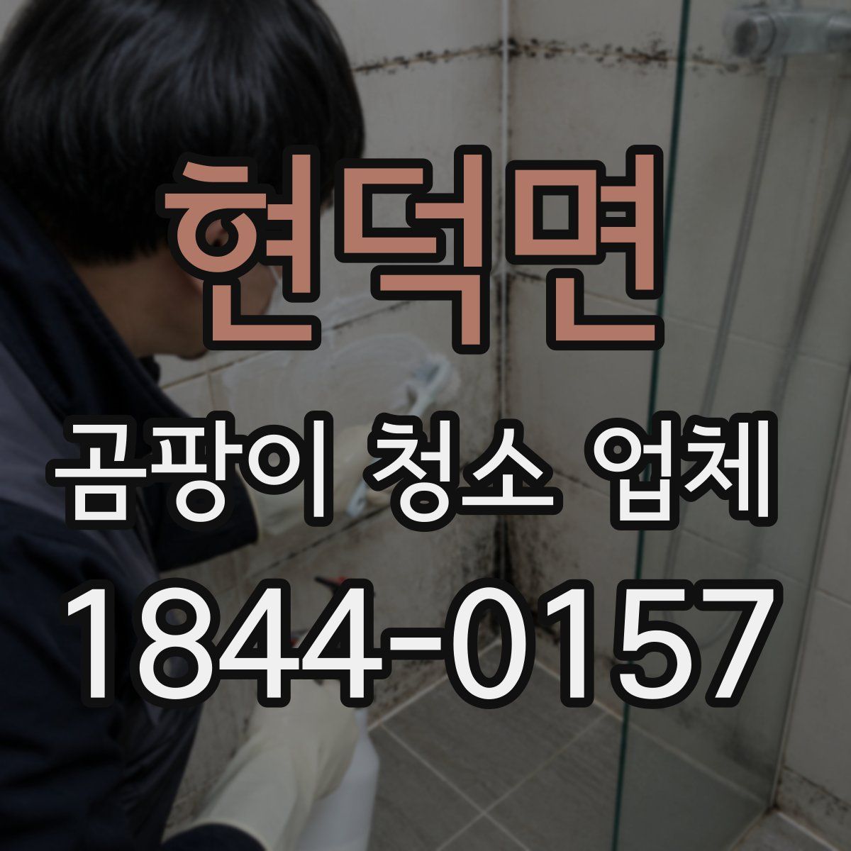 현덕면 곰팡이 청소 업체