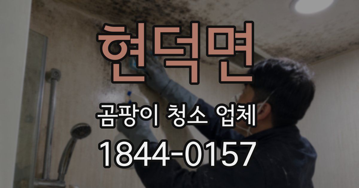 현덕면 곰팡이 청소 업체