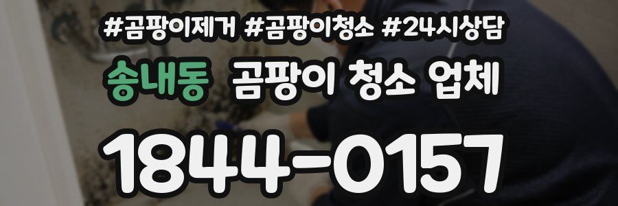 송내동 곰팡이 청소 업체