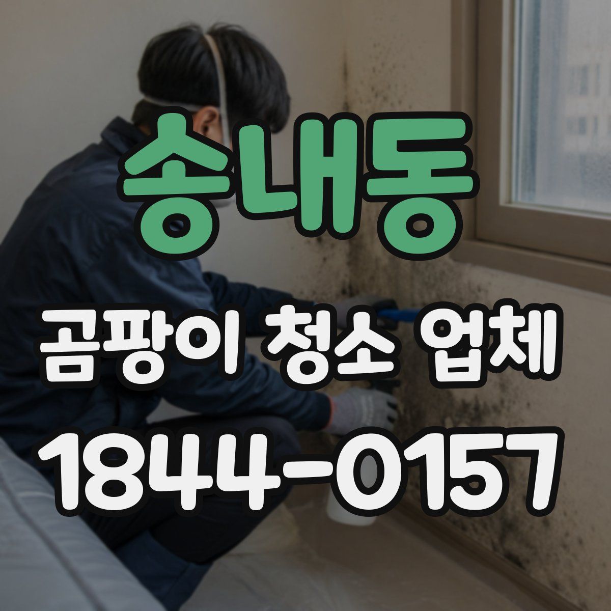 송내동 곰팡이 청소 업체