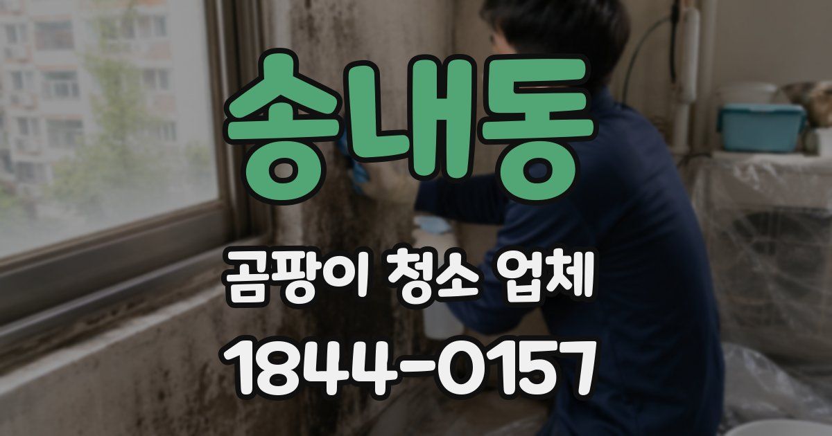 송내동 곰팡이 청소 업체