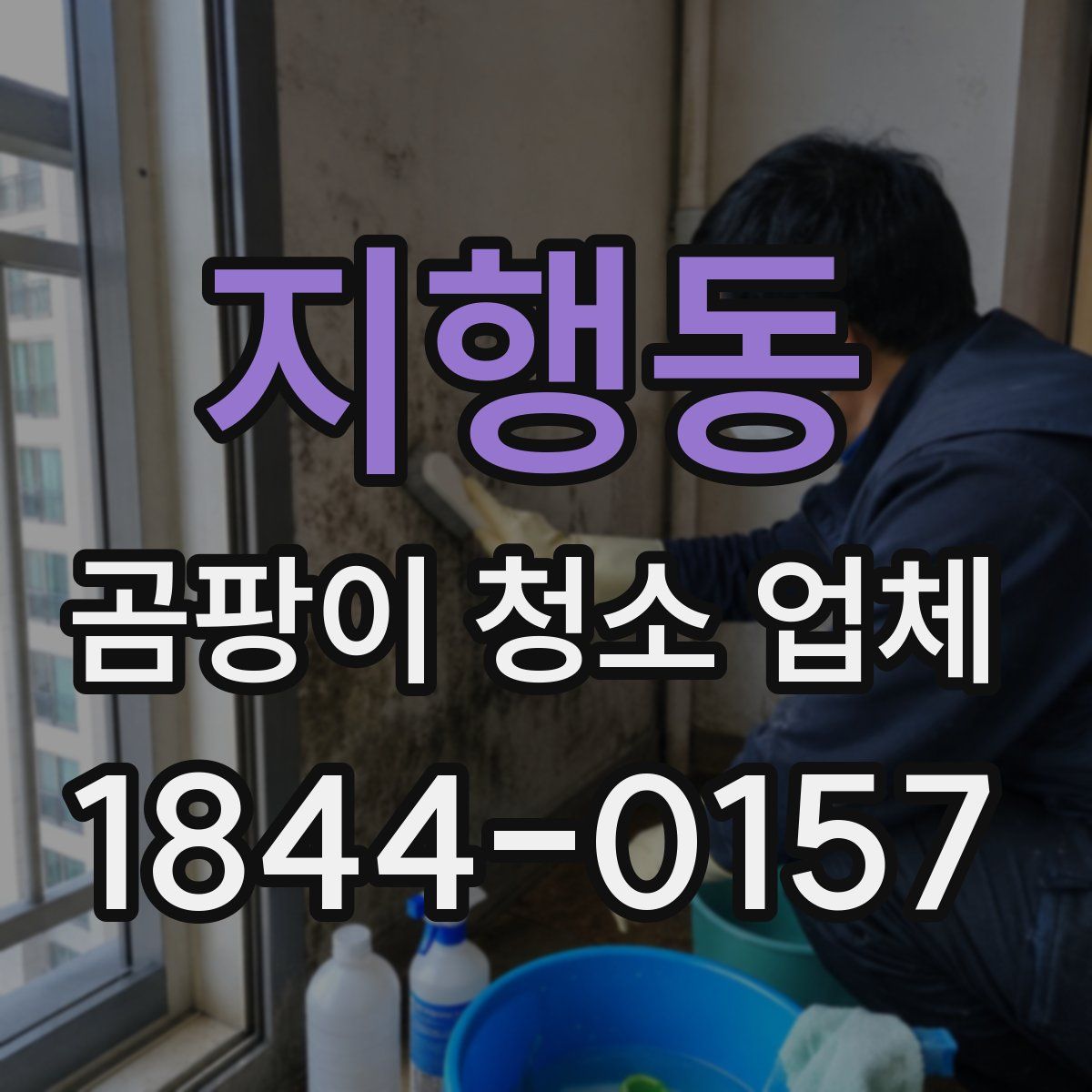지행동 곰팡이 청소 업체
