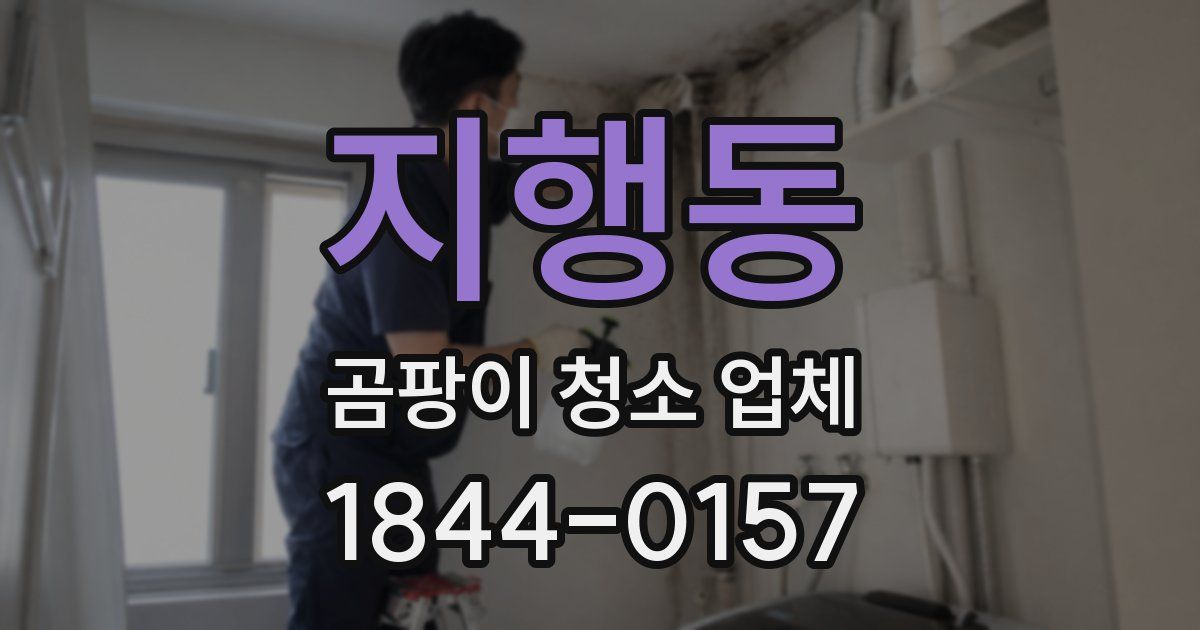 지행동 곰팡이 청소 업체