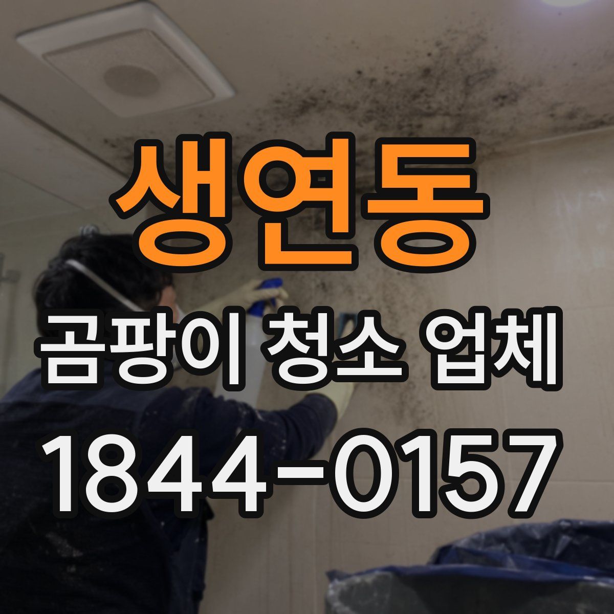 생연동 곰팡이 청소 업체
