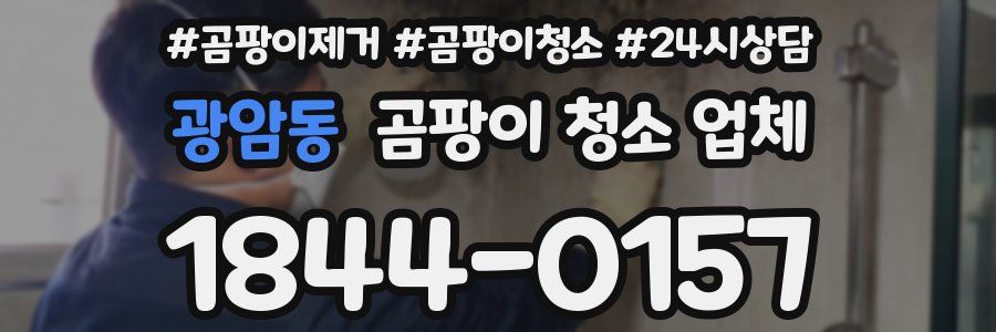 광암동 곰팡이 청소 업체