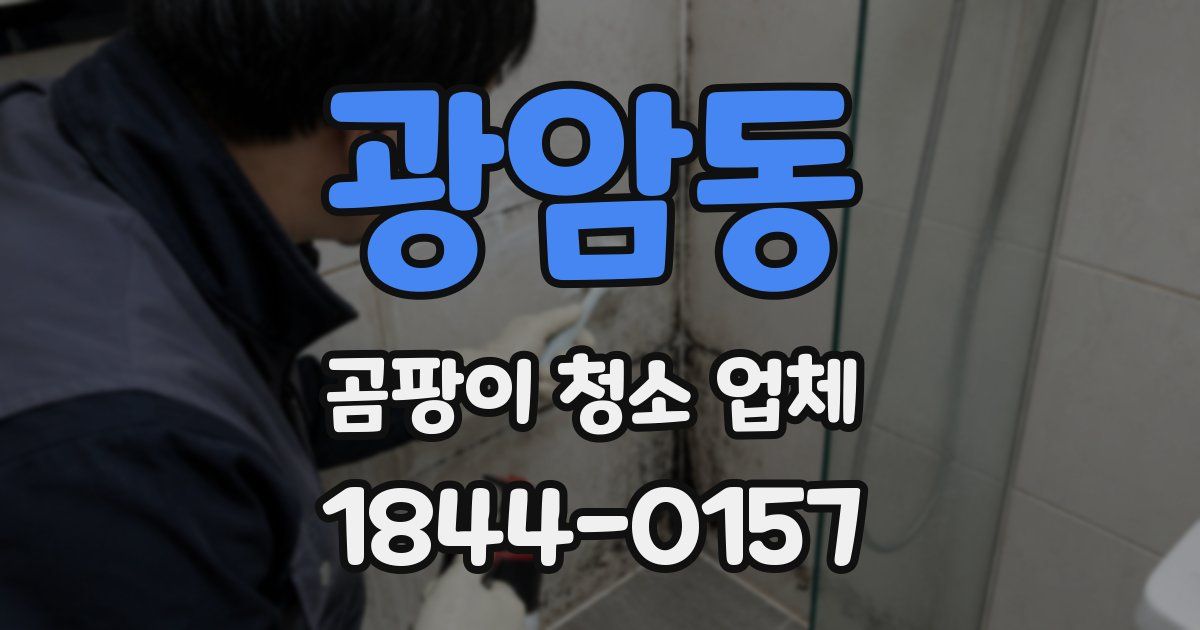 광암동 곰팡이 청소 업체