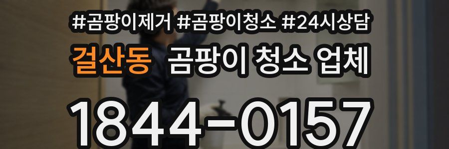 걸산동 곰팡이 청소 업체