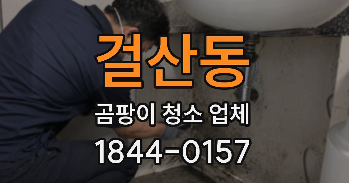 걸산동 곰팡이 청소 업체
