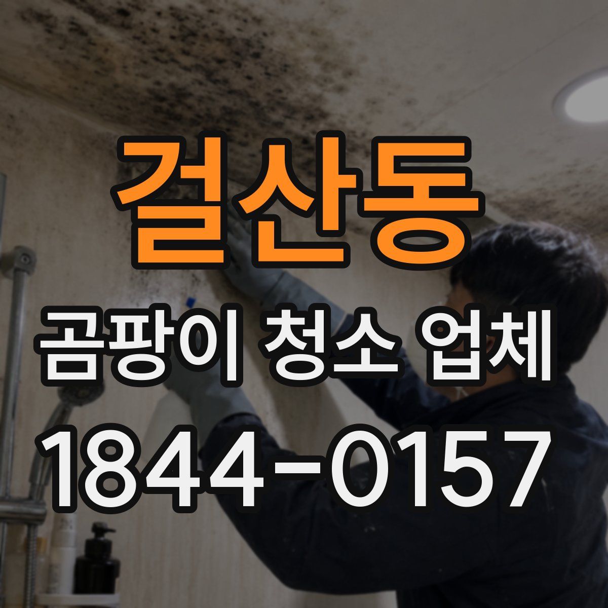 걸산동 곰팡이 청소 업체