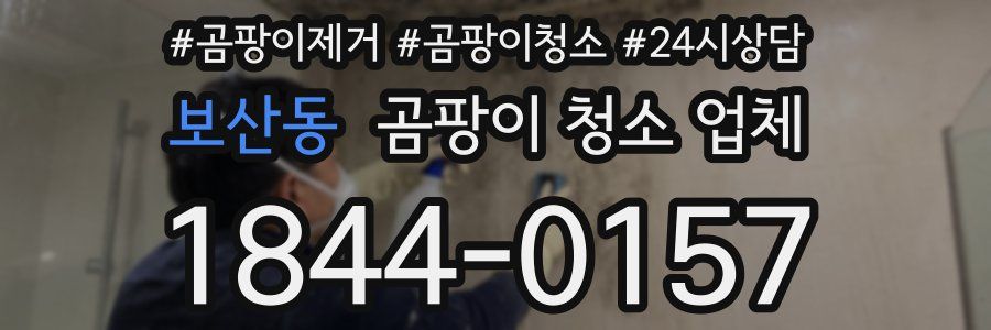 보산동 곰팡이 청소 업체