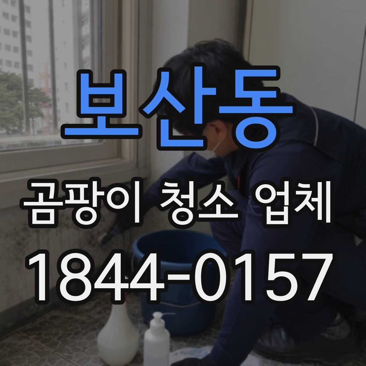 보산동 곰팡이 청소 업체