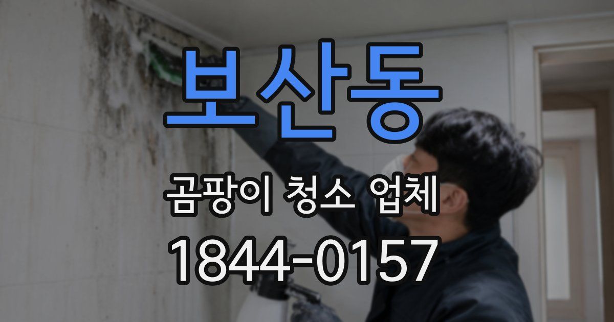 보산동 곰팡이 청소 업체