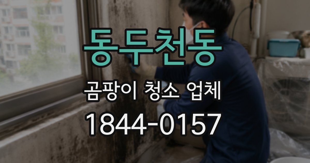 동두천동 곰팡이 청소 업체