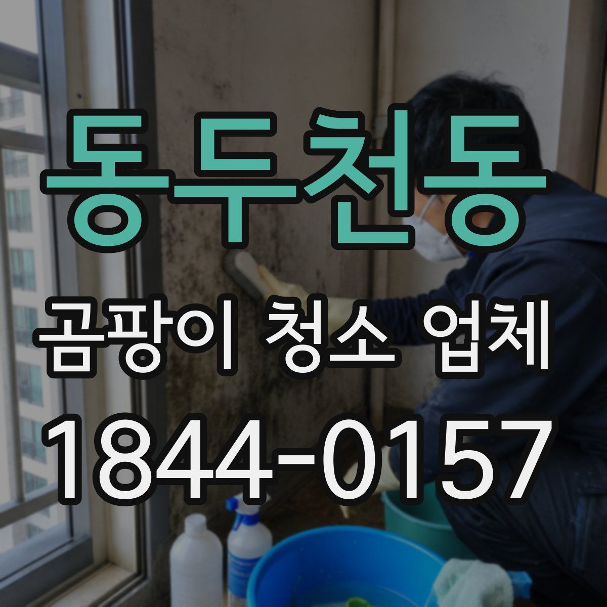 동두천동 곰팡이 청소 업체