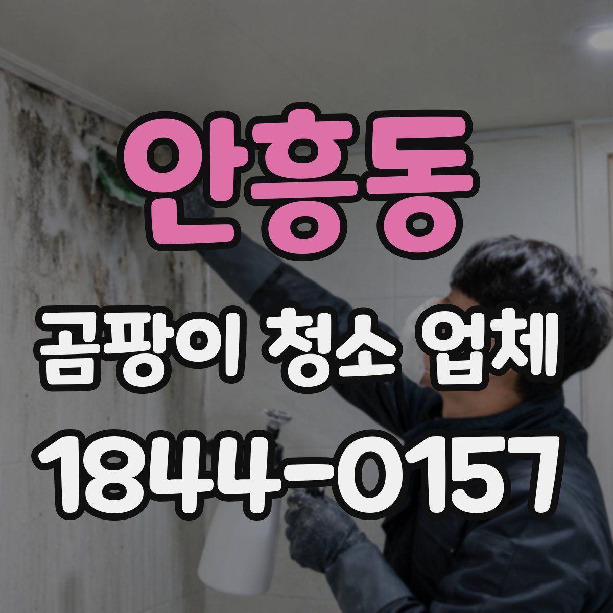 안흥동 곰팡이 청소 업체