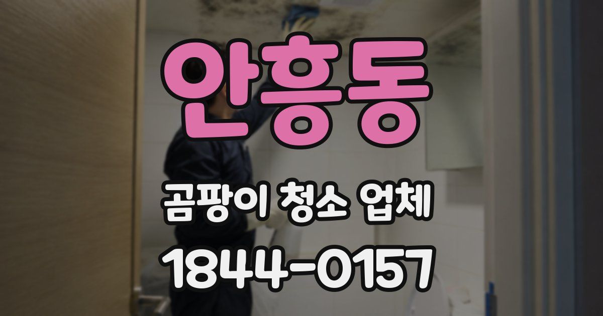 안흥동 곰팡이 청소 업체