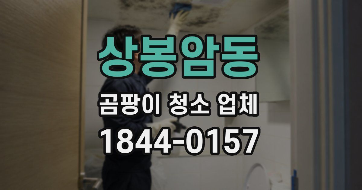 상봉암동 곰팡이 청소 업체