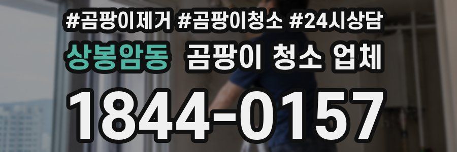 상봉암동 곰팡이 청소 업체