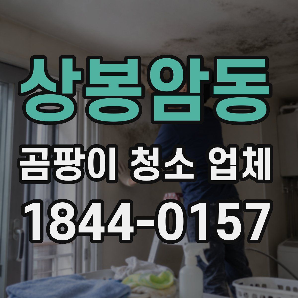상봉암동 곰팡이 청소 업체