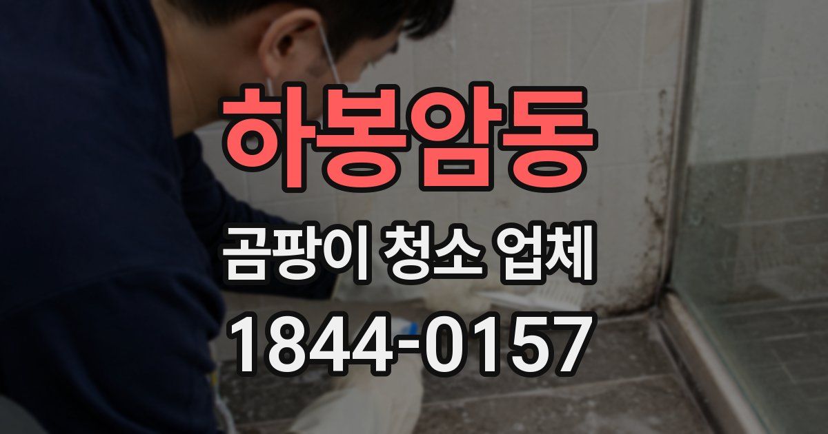 하봉암동 곰팡이 청소 업체