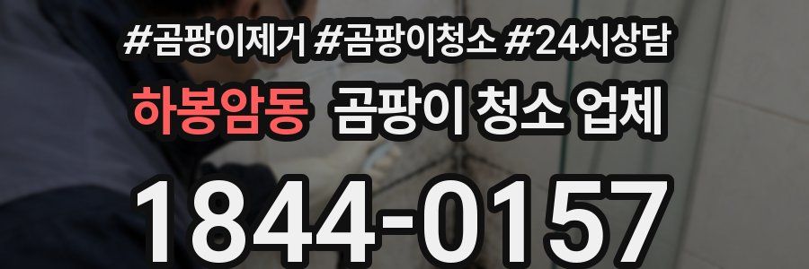 하봉암동 곰팡이 청소 업체